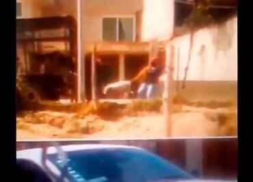 Despiden a titular de Protección Animal tras maltrato a perritos en Puebla