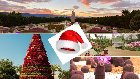 Estos Jardines de México se vestirán de Navidad