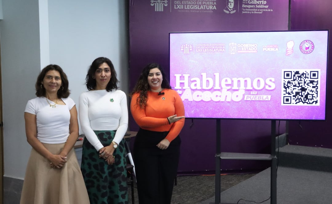 Elsa Ruiz Betanzos destacó el respaldo al trabajo legislativo y a la construcción de esta propuesta, de la mano de la sociedad | Foto: Congreso del Estado
