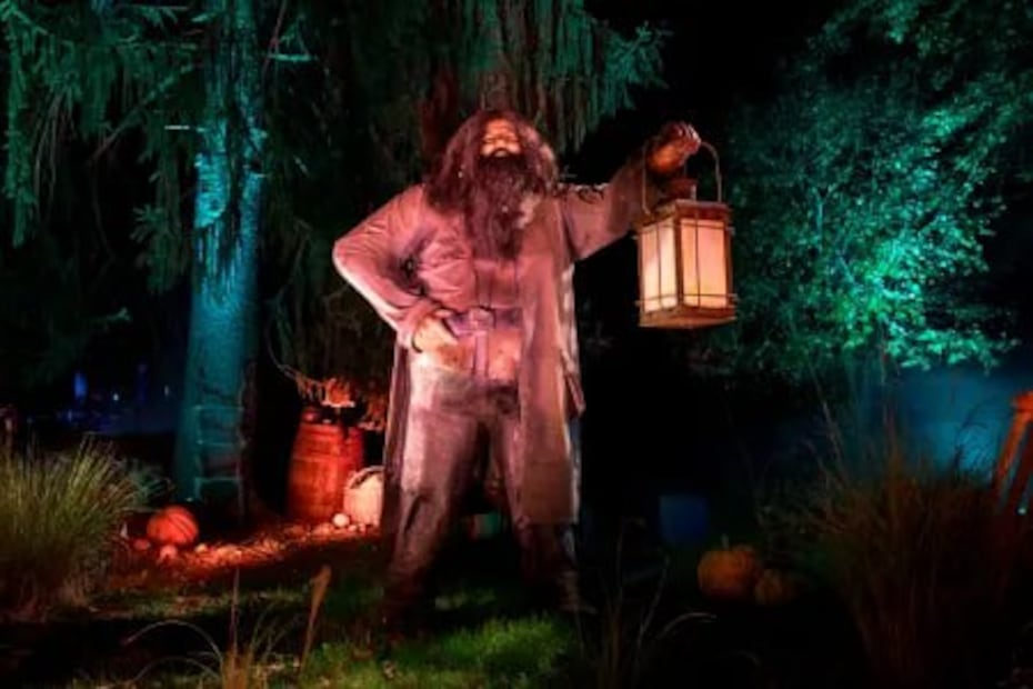 Foto: hpforbiddenforestexperience.com