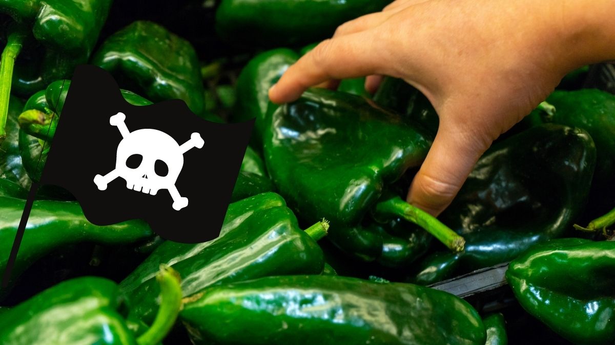 La triste historia del chile poblano y su batalla contra los piratas chinos