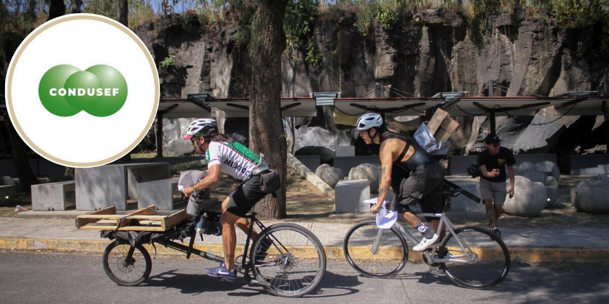 ¿Qué seguros deberías considerar además de vida y de auto? Condusef responde