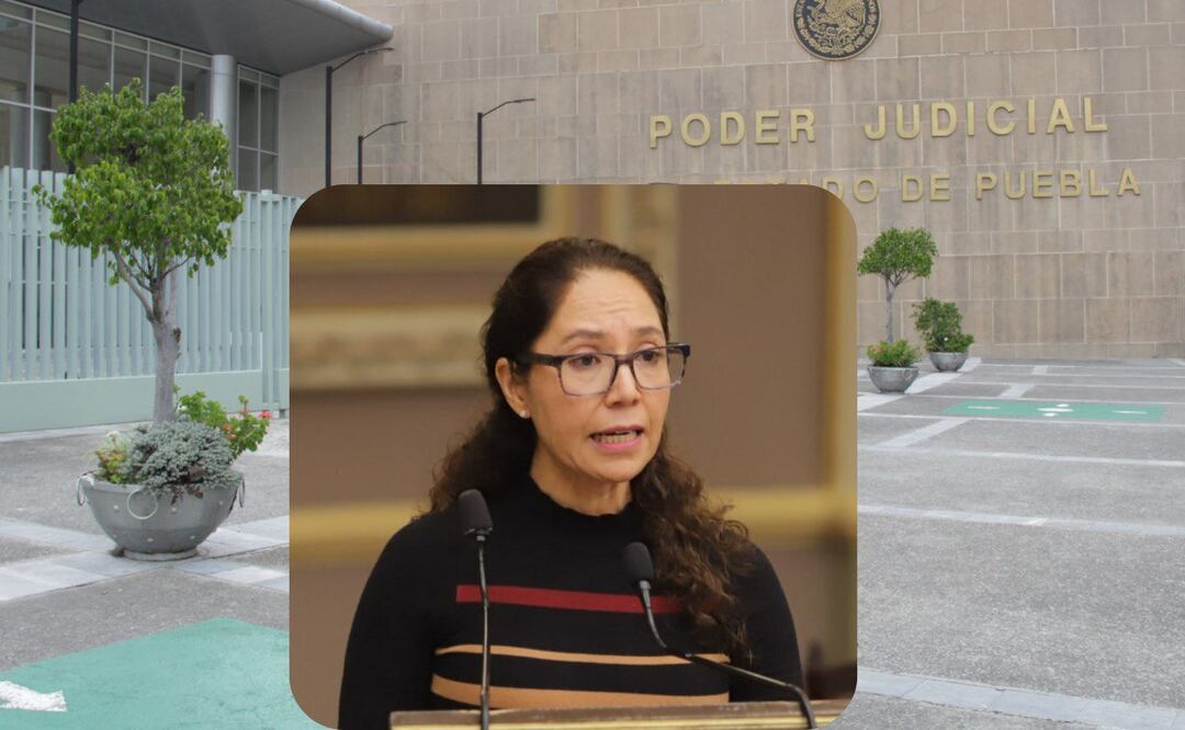 Teresa Castro deberá pagar una multa y fue inhabilitada por 20 años | Foto: EsImagen