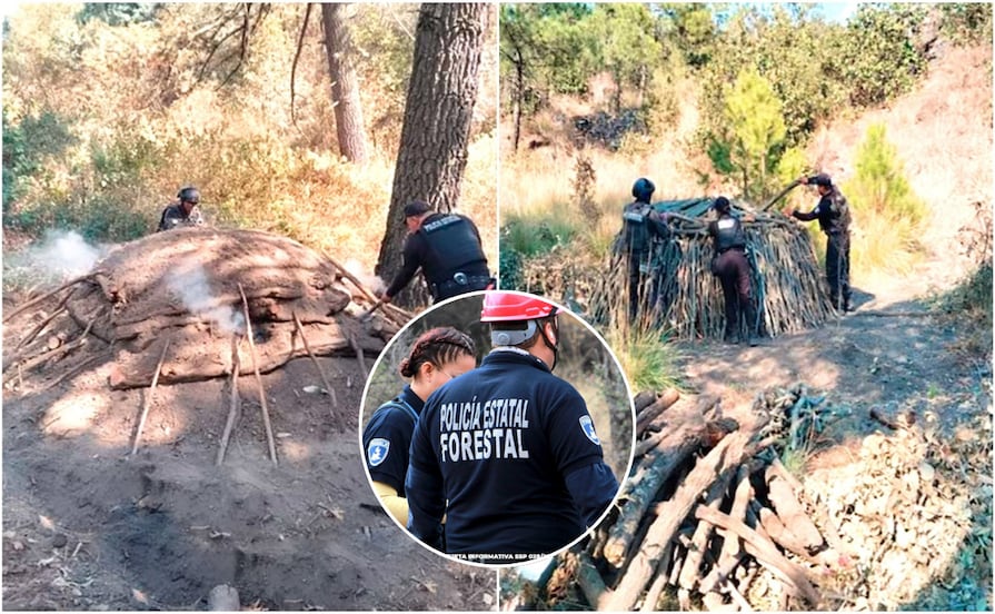Elimina Policía Forestal seis hornos clandestinos para procesar madera