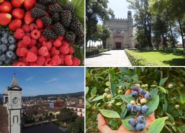 Dos Pueblos Mágicos de Puebla destacan por sus deliciosas berries