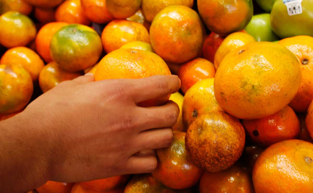 Cinco razones por las que todo el mundo ama las mandarinas