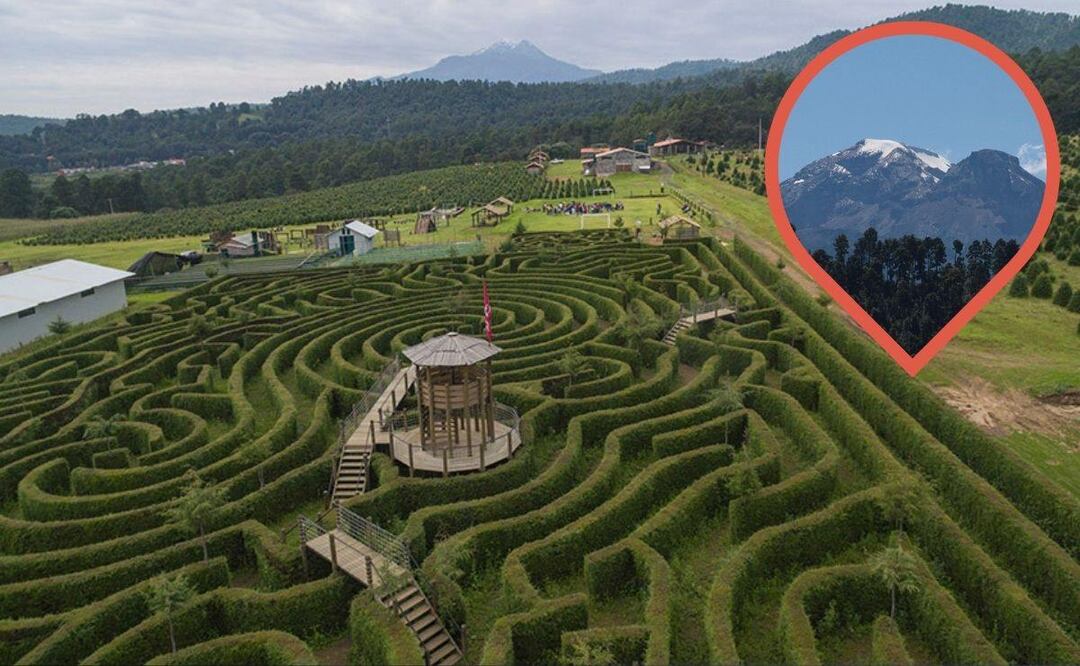 Si eres bueno con el sentido de la orientación, quizá puedas completar este laberinto | Foto:  www.alpinia.mx