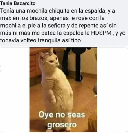 Viral: con memes, neni cuenta su pelea en el metrobús y cómo se salvó 