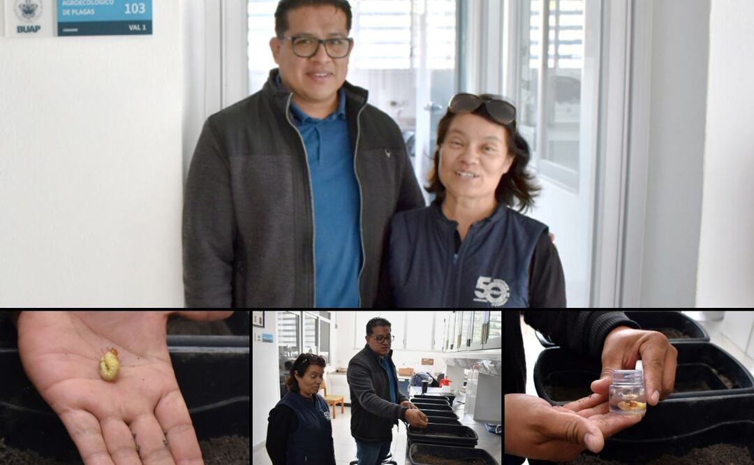 Doctora Betzabeth Cecilia Pérez Torres, investigadora del Centro de Agroecología del Instituto de Ciencias de la BUAP | Foto: Buap