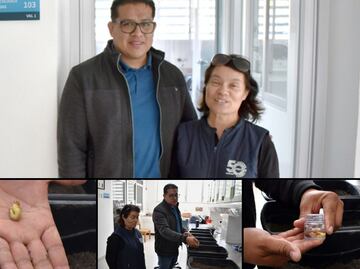 Investigadora de la BUAP estudia el comportamiento biológico de la “gallina ciega” para su control