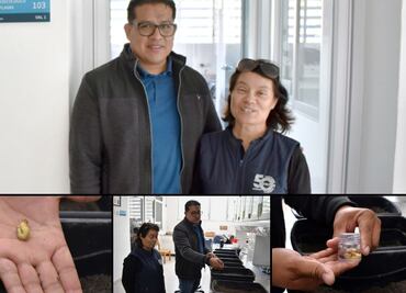 Investigadora de la BUAP estudia el comportamiento biológico de la “gallina ciega” para su control