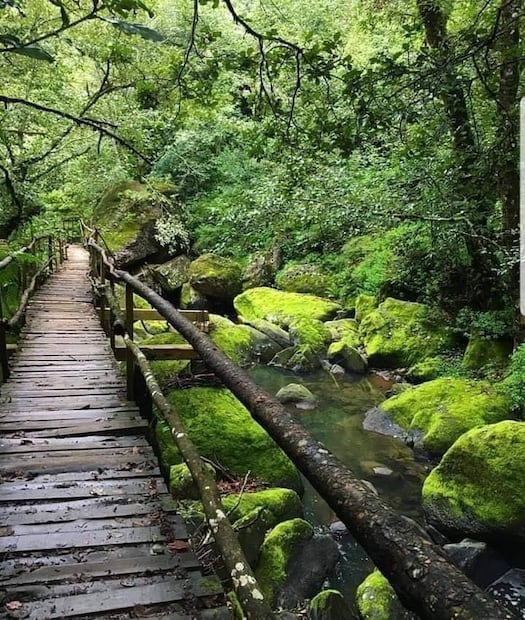 Foto: FB Cascadas paraiso