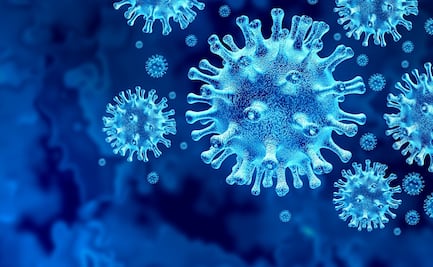 ¿Cuánto duran los anticuerpos generados por la covid-19?