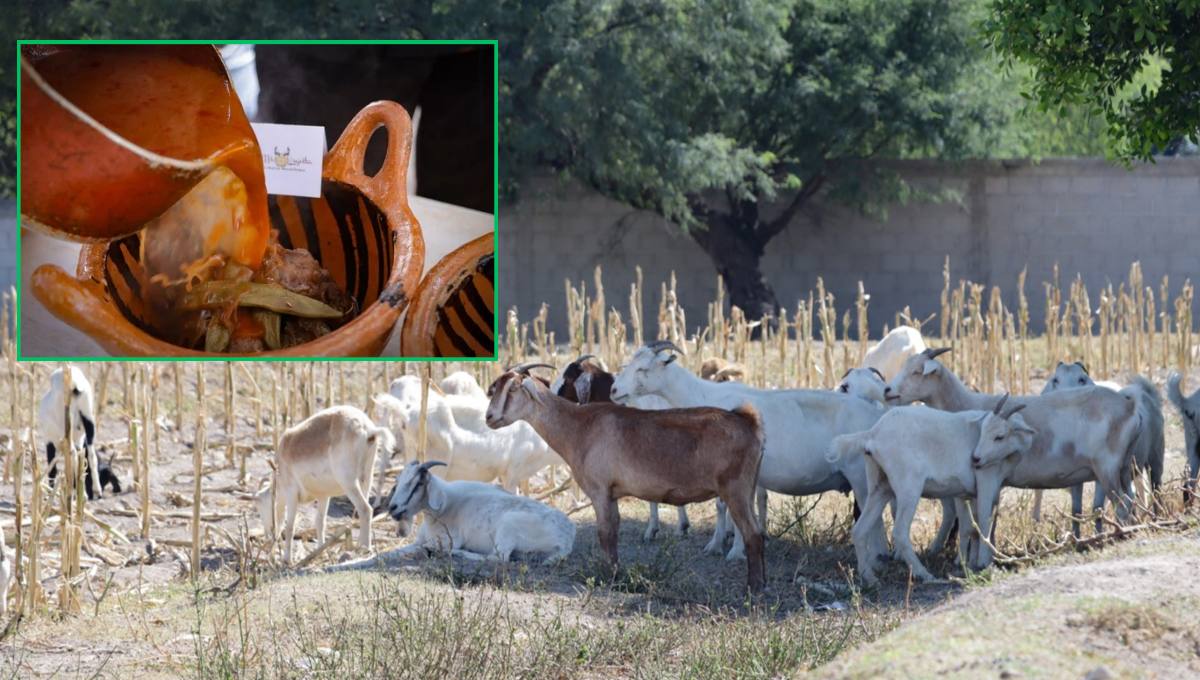 Con festival étnico inicia la temporada oficial del Mole de Caderas: Turismo Puebla