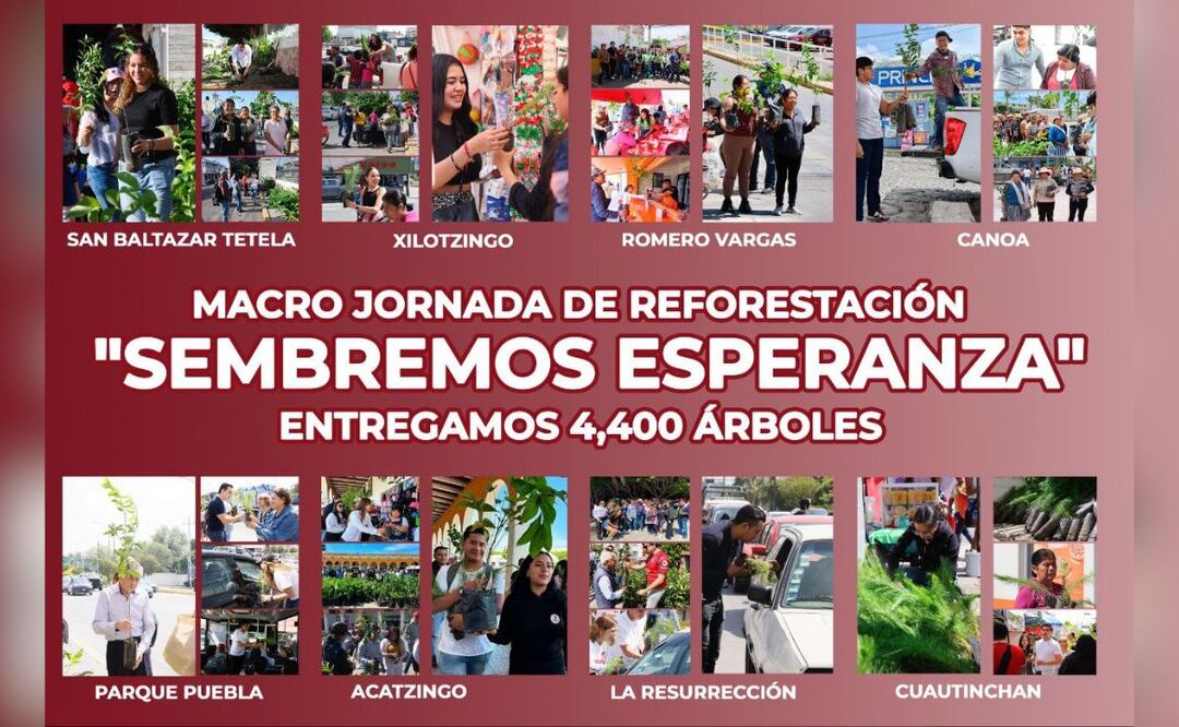 Se entregaron 4 mil 400 árboles de manera simultánea en Puebla | Foto: Especial