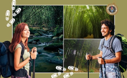 Conoce el sendero más neblinoso y bonito de Puebla para caminar este verano