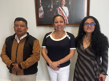 Ley de ciberasedio no limita libertad de expresión, asegura Laura Artemisa