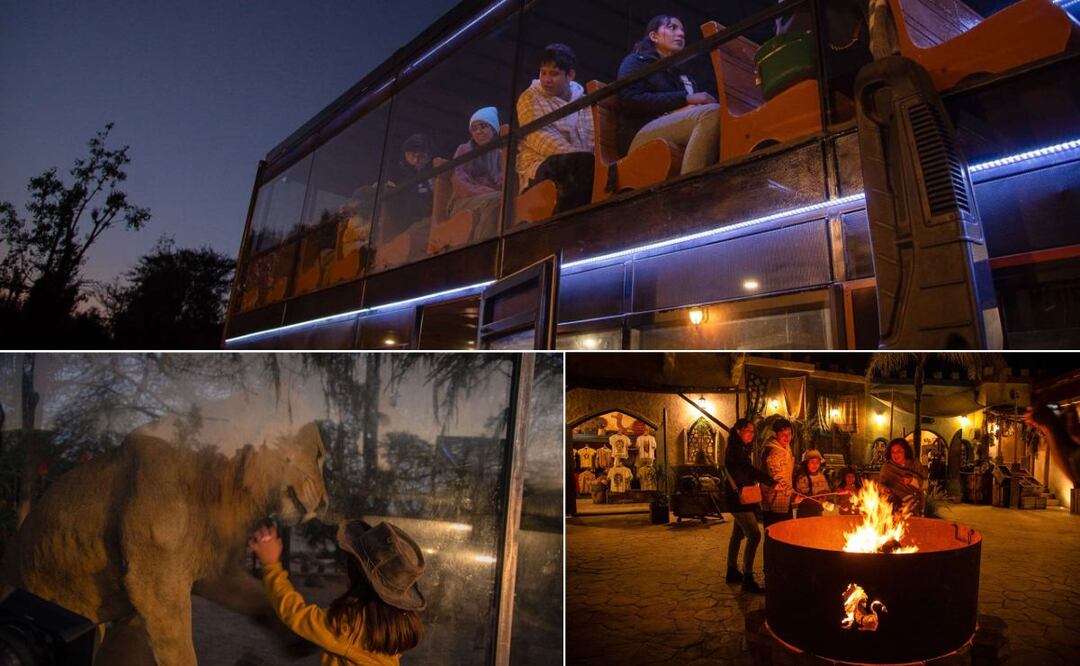 Africam Safari ofrece una excursión nocturna inigualable | Foto: Africam Safari