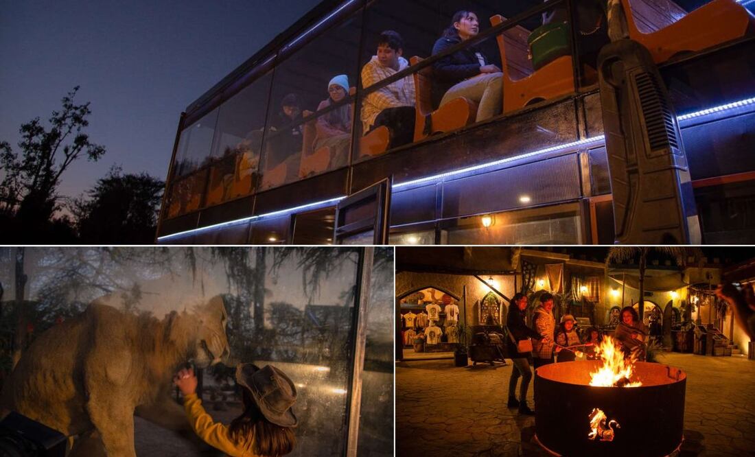 Africam Safari ofrece una excursión nocturna inigualable | Foto: Africam Safari