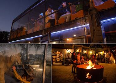 Cuánto cuesta el safari nocturno de Africam Safari