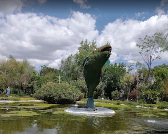 Conoce las 40 mil plantas del Jardín Mágico de Atlixco
