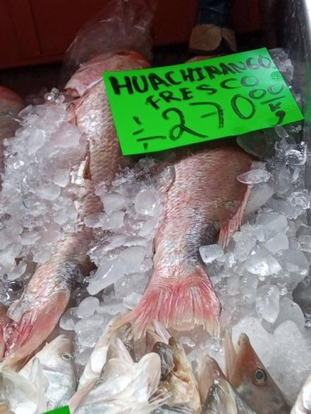 Que no te den tilapia por huachinango: hasta en los pescados podemos comprar "gato por liebre"