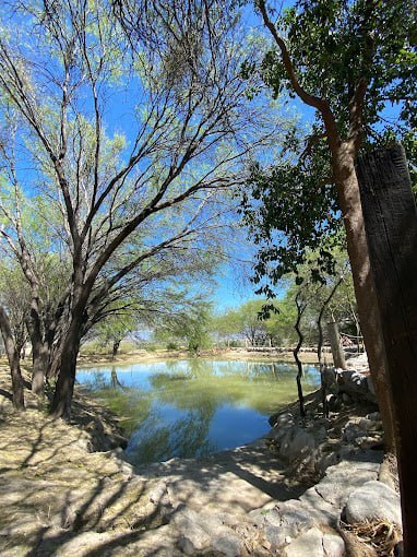 Foto: Google / Ale Torres