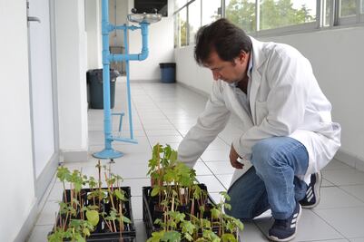 Científicos de la BUAP logran reducir tóxicos en aguas residuales