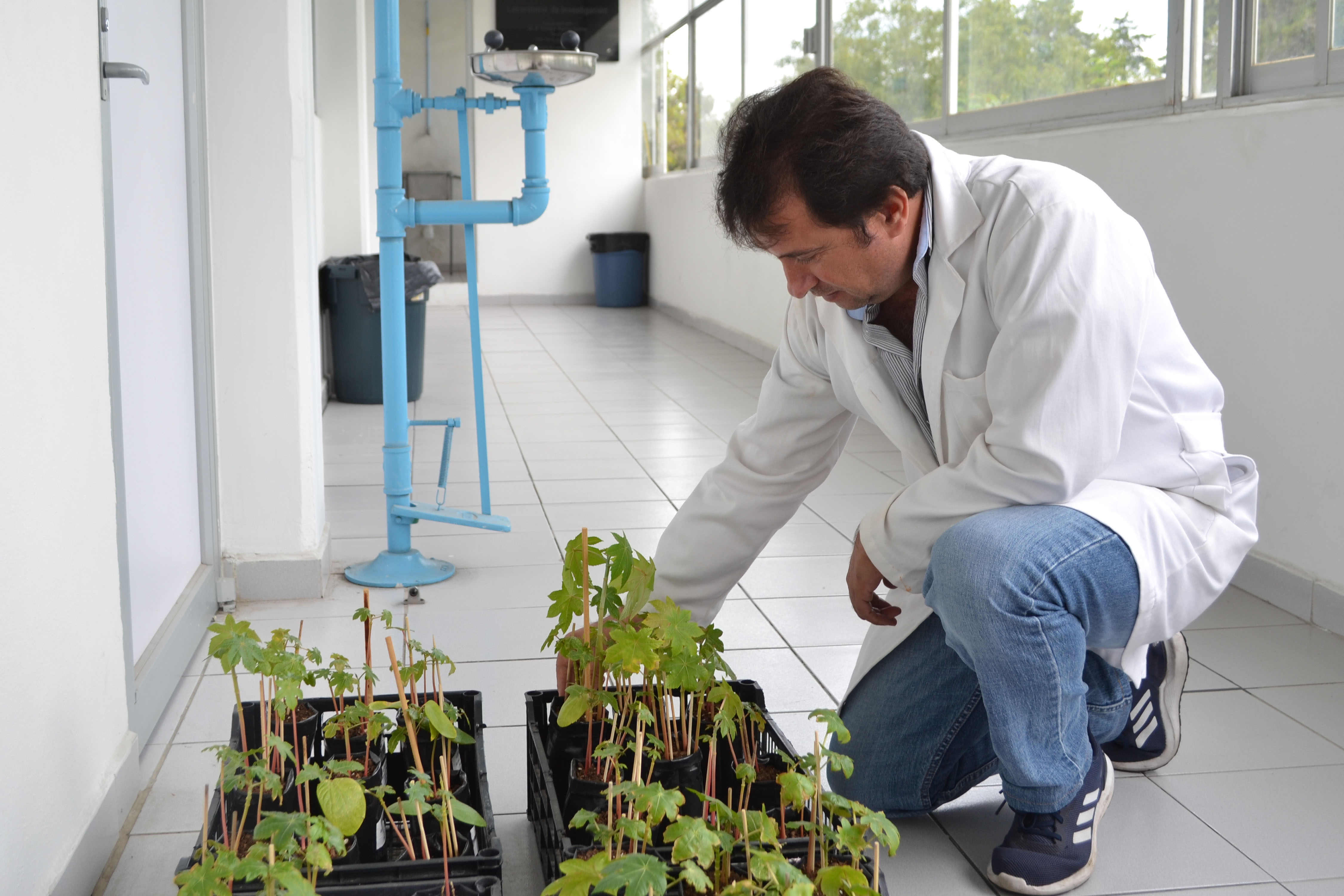 Científicos de la BUAP logran reducir tóxicos en aguas residuales