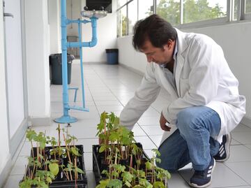 Científicos de la BUAP logran reducir tóxicos en aguas residuales