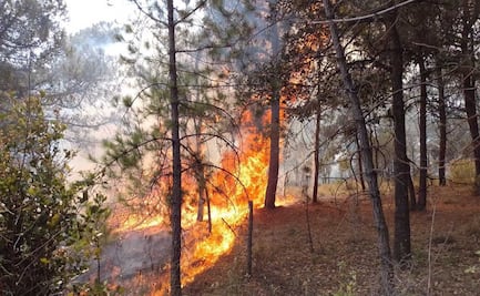 Hay nueve incendios forestales activos en Puebla