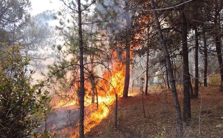 Hay nueve incendios forestales activos en Puebla