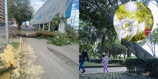 Esta es la razón por la que hay fuertes vientos en Puebla