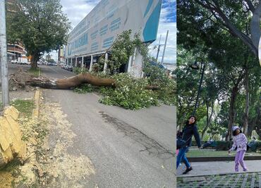 Esta es la razón por la que hay fuertes vientos en Puebla
