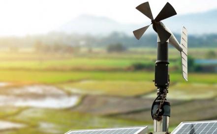 ​Poblana crea Earth IoT para mejorar  productos del campo