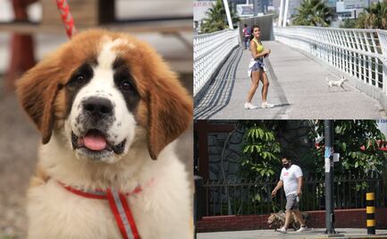 En estos senderos puedes pasear con tus lomitos en Puebla