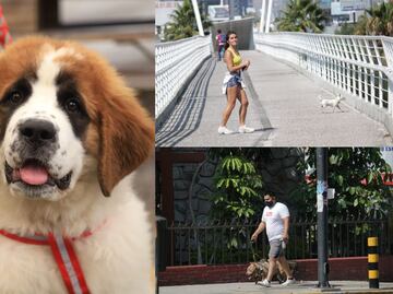 En estos senderos puedes pasear con tus lomitos en Puebla