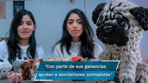 Perritos tejidos con estambre, la forma de inmortalizar a tu mascota