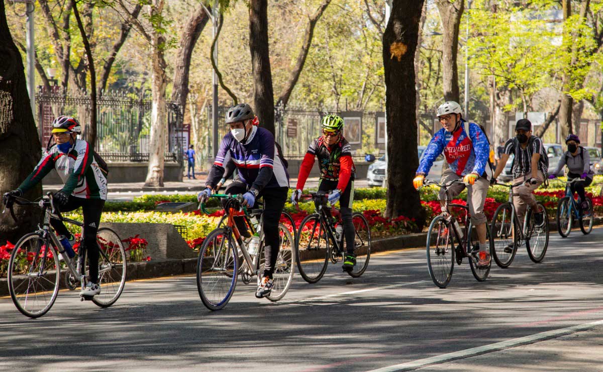 Esto prevé la nueva ley de movilidad aprobada en el Senado