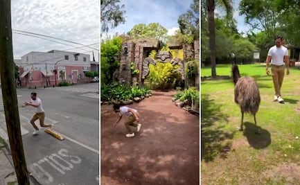 VIDEO Africam Safari retoma meme de la ciclovía maldita para atraer a más visitantes