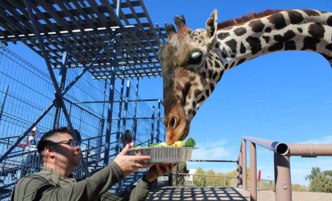 Benito llegará pronto a Puebla | Foto: Facebook Parque Central