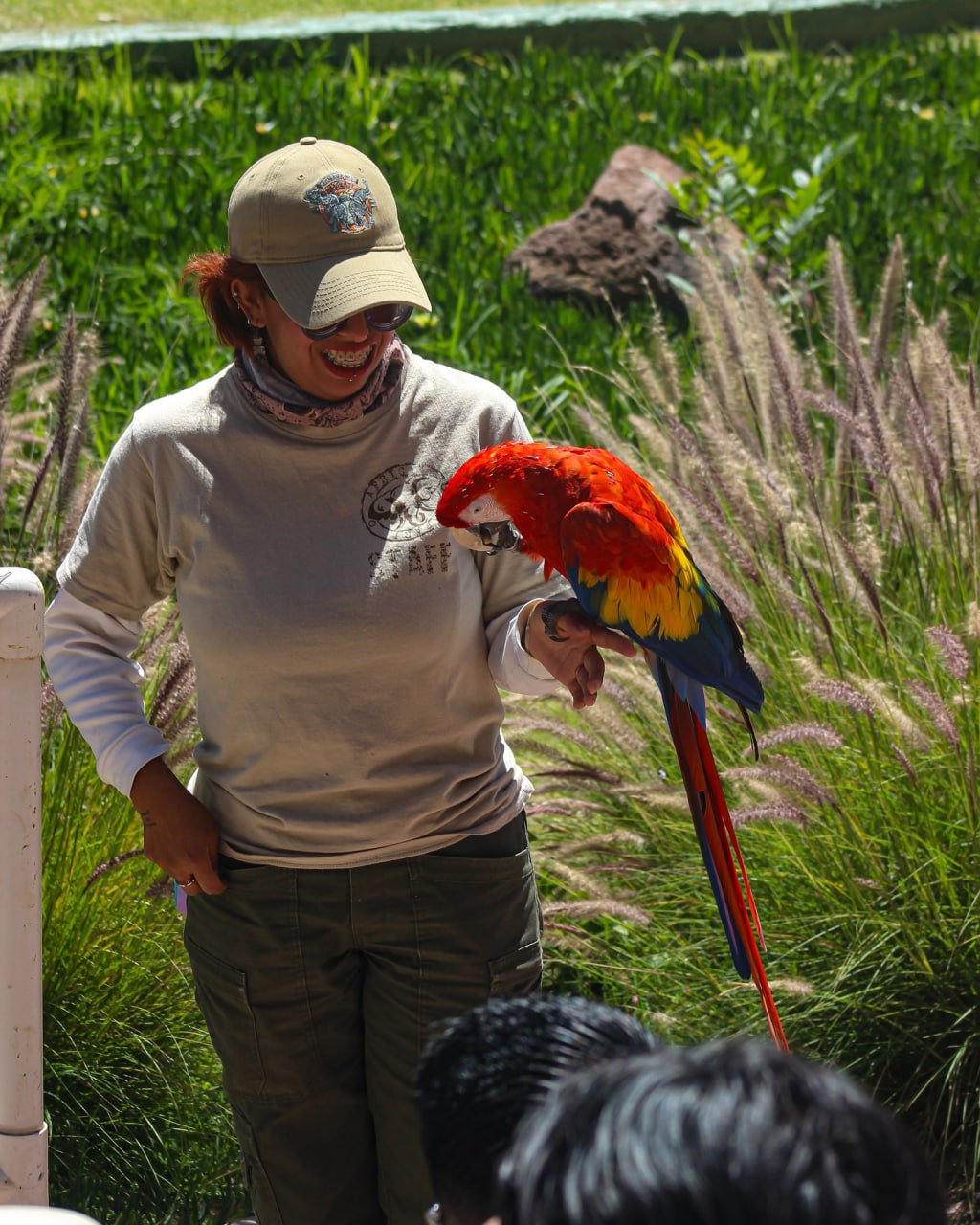 El campamento de verano de Africam Safari inicia en julio | Foto: Watusi Watoto Safari Camp