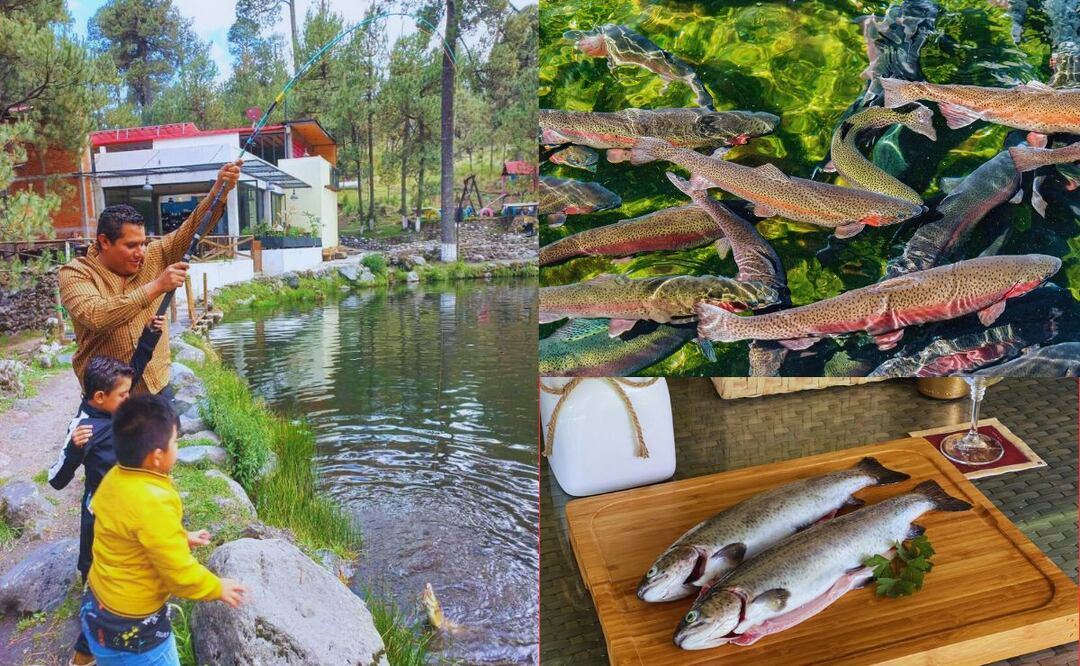 En Puebla puedes relajarte pescando / Facebook Villa Ecoturística La Venta