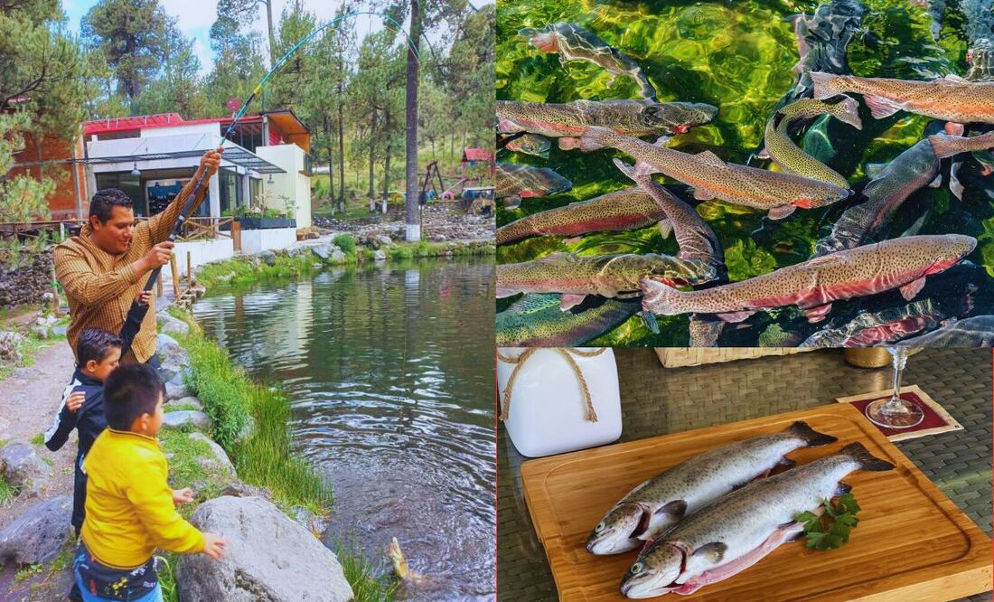 En Puebla puedes relajarte pescando / Facebook Villa Ecoturística La Venta