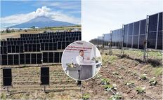 Primer sistema agrovoltaico del país en Puebla, Gobierno Estatal marca precedente