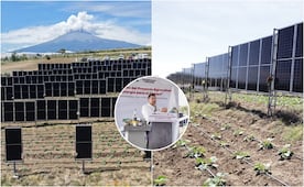 Primer sistema agrovoltaico del país en Puebla, Gobierno Estatal marca precedente
