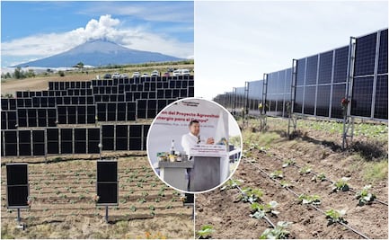 Primer sistema agrovoltaico del país en Puebla, Gobierno Estatal marca precedente