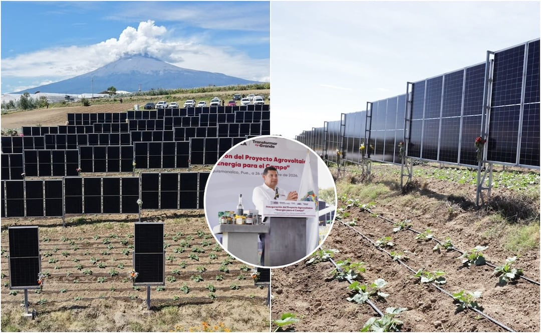 Coordinación entre los gobiernos de México y Puebla, así como el INAOE, fortalece la sustentabilidad y competitividad de las familias productoras | Foto: Gobierno del Estado