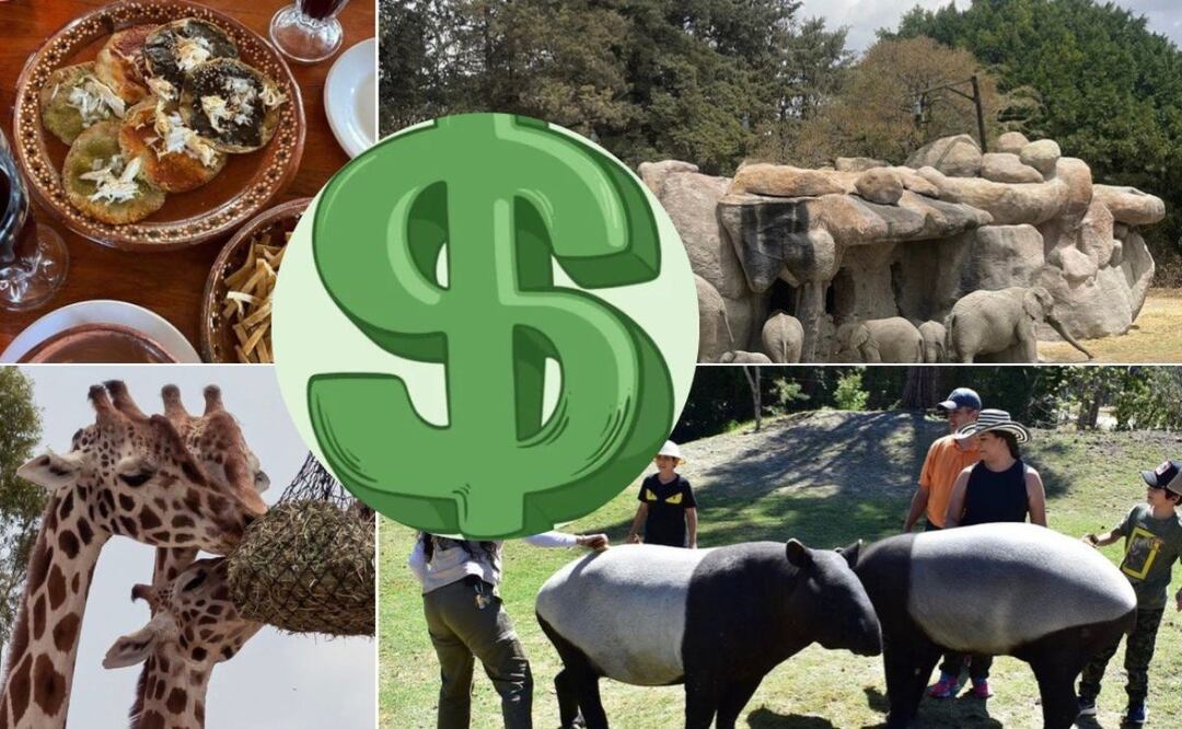 Africam Safari es el parque de conservación de vida silvestre más popular I Foto: El Universal Puebla