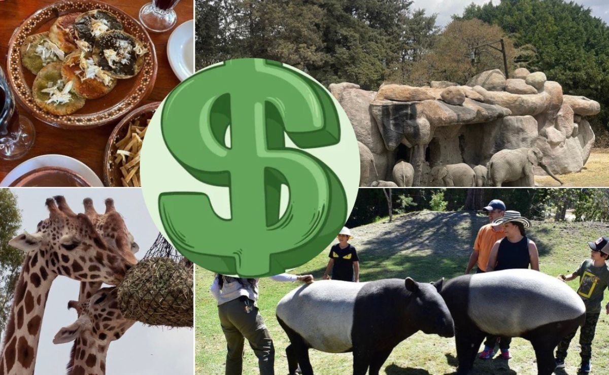 Africam Safari es el parque de conservación de vida silvestre más popular I Foto: El Universal Puebla